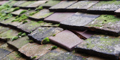 Newlyn roof repair costs